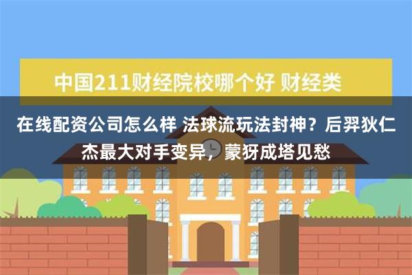 在线配资公司怎么样 法球流玩法封神？后羿狄仁杰最大对手变异，蒙犽成塔见愁