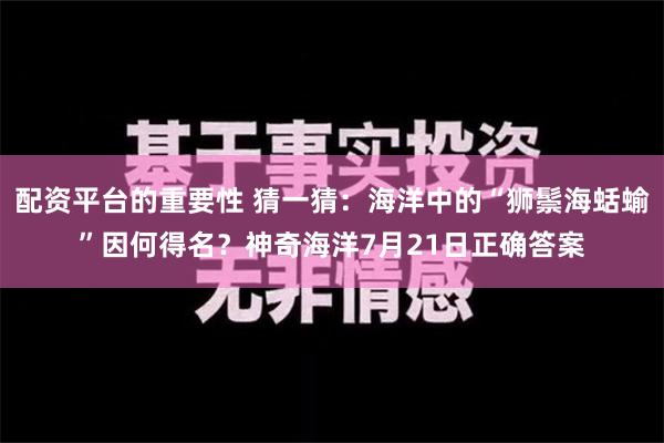 配资平台的重要性 猜一猜：海洋中的“狮鬃海蛞蝓”因何得名？神奇海洋7月21日正确答案