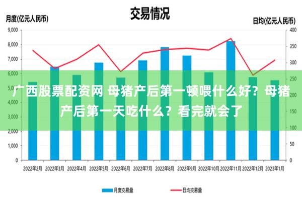 广西股票配资网 母猪产后第一顿喂什么好？母猪产后第一天吃什么？看完就会了