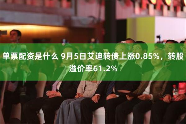 单票配资是什么 9月5日艾迪转债上涨0.85%，转股溢价率61.2%