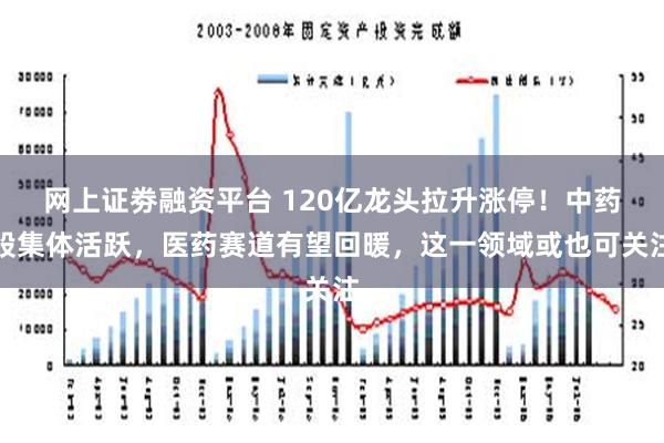 网上证劵融资平台 120亿龙头拉升涨停！中药股集体活跃，医药赛道有望回暖，这一领域或也可关注