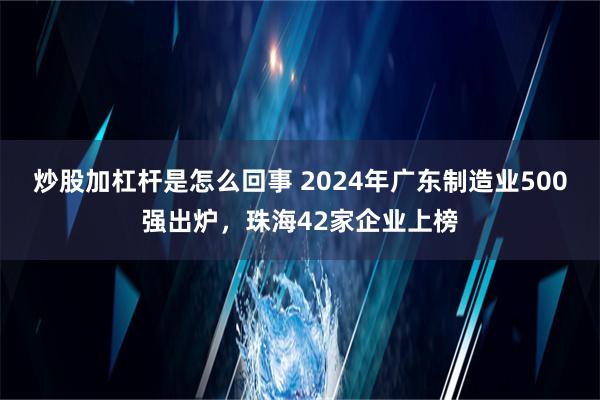 炒股加杠杆是怎么回事 2024年广东制造业500强出炉，珠海42家企业上榜