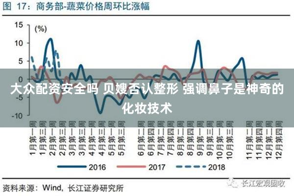 大众配资安全吗 贝嫂否认整形 强调鼻子是神奇的化妆技术