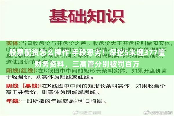 股票配资怎么操作 手段恶劣！深挖5米埋377筐财务资料，三高管分别被罚百万