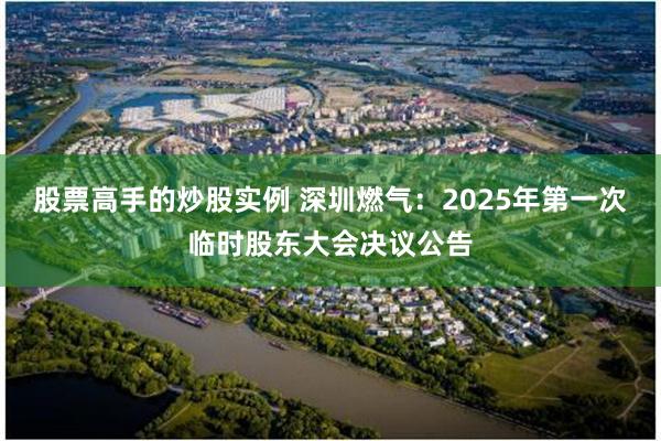 股票高手的炒股实例 深圳燃气：2025年第一次临时股东大会决议公告