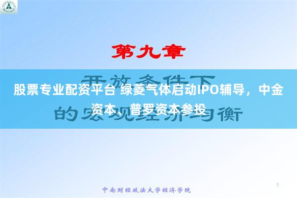 股票专业配资平台 绿菱气体启动IPO辅导，中金资本、普罗资本参投